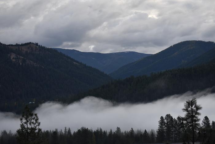 [Thumbnail for BRC_0777.JPG]