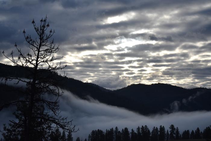 [Thumbnail for BRC_0780.JPG]