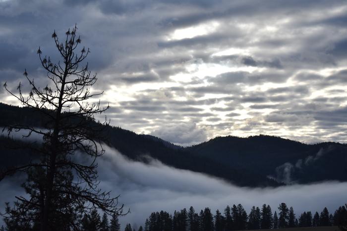 [Thumbnail for BRC_0781.JPG]