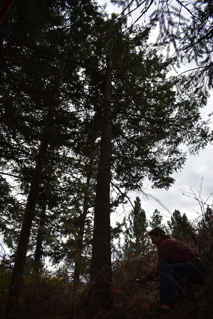 [Thumbnail for BRC_0814.JPG]