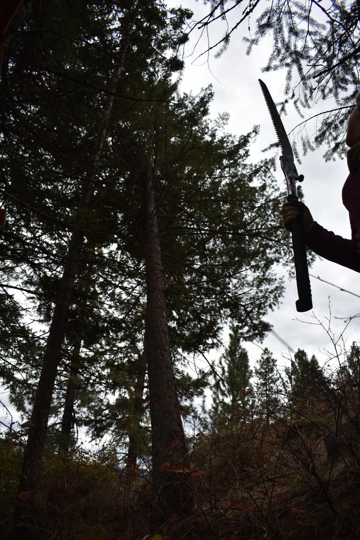 [Thumbnail for BRC_0817.JPG]