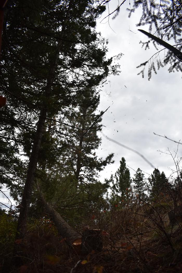 [Thumbnail for BRC_0819.JPG]