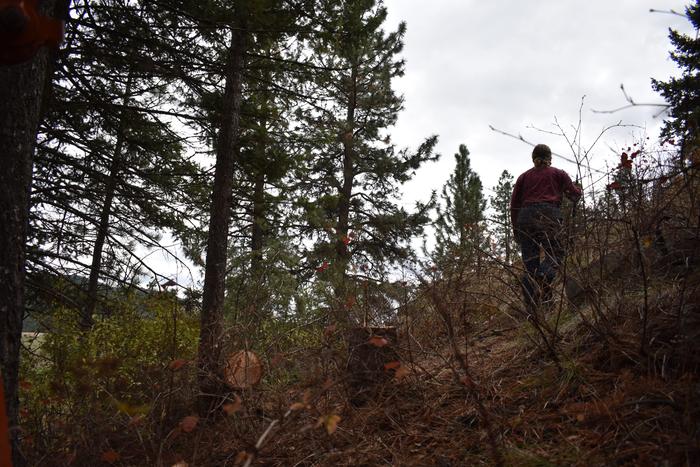 [Thumbnail for BRC_0821.JPG]