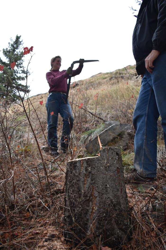 [Thumbnail for BRC_0822.JPG]