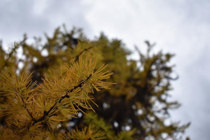 [Thumbnail for BRC_0830.JPG]