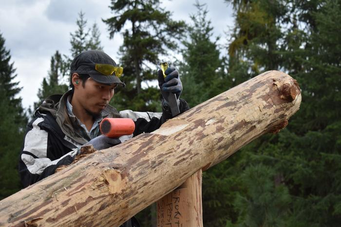 [Thumbnail for BRC_0844.JPG]