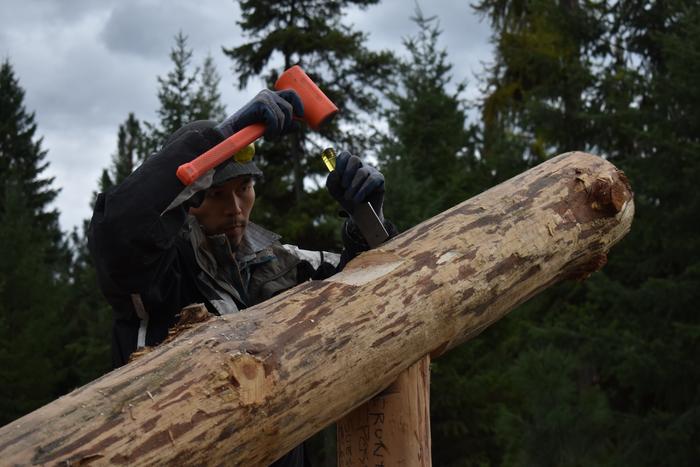 [Thumbnail for BRC_0845.JPG]