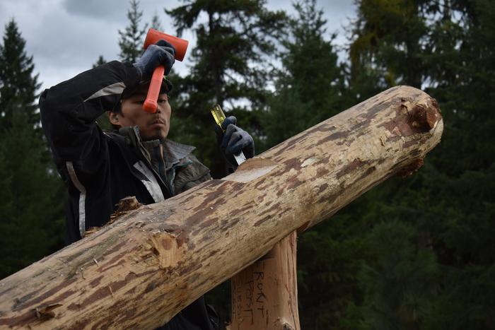 [Thumbnail for BRC_0850.JPG]