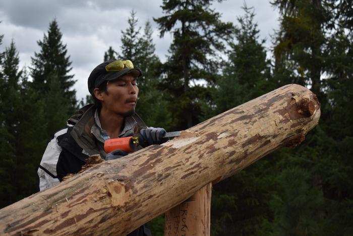 [Thumbnail for BRC_0853.JPG]