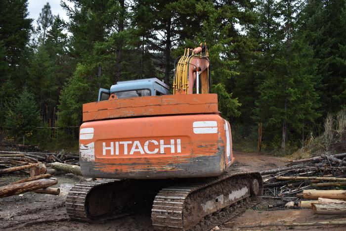 [Thumbnail for BRC_0863.JPG]