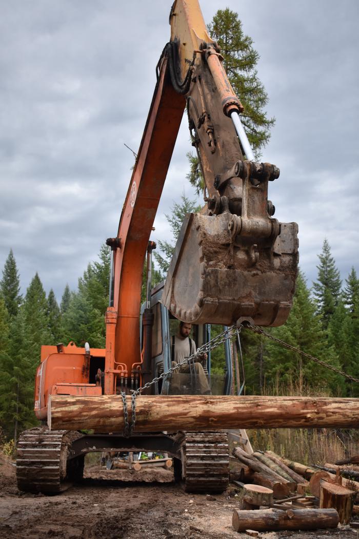 [Thumbnail for BRC_0943.JPG]