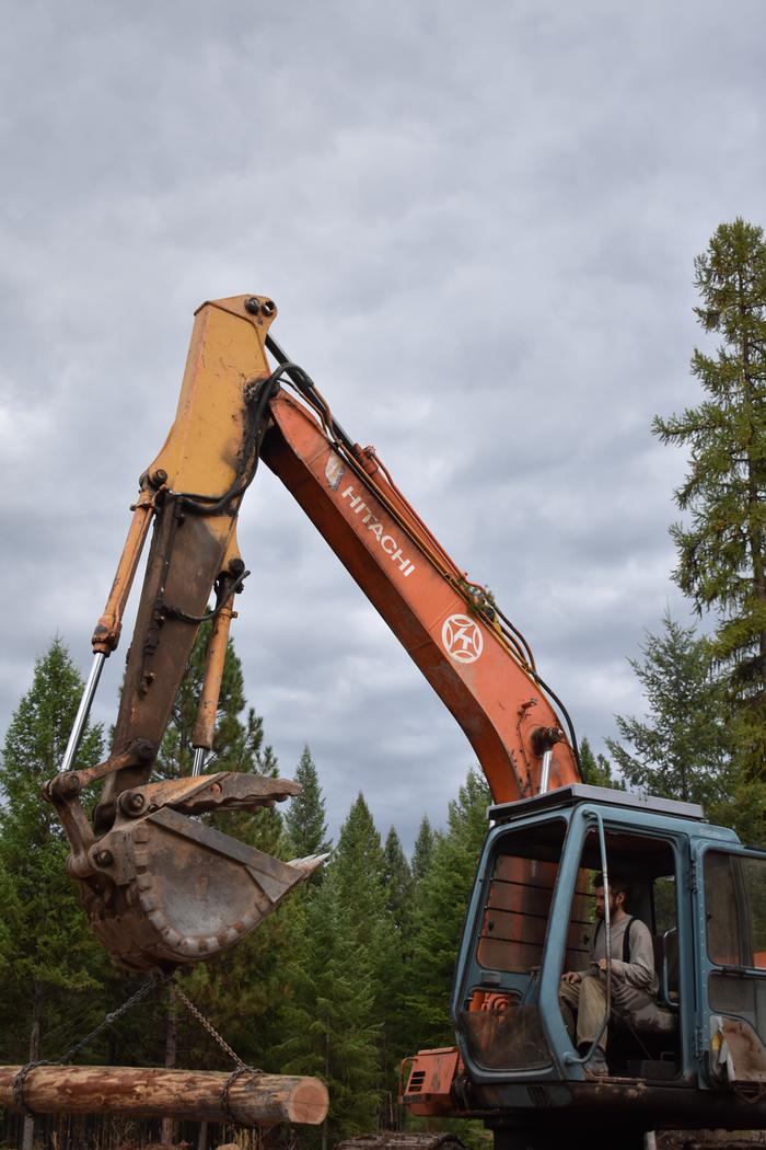 [Thumbnail for BRC_0944.JPG]