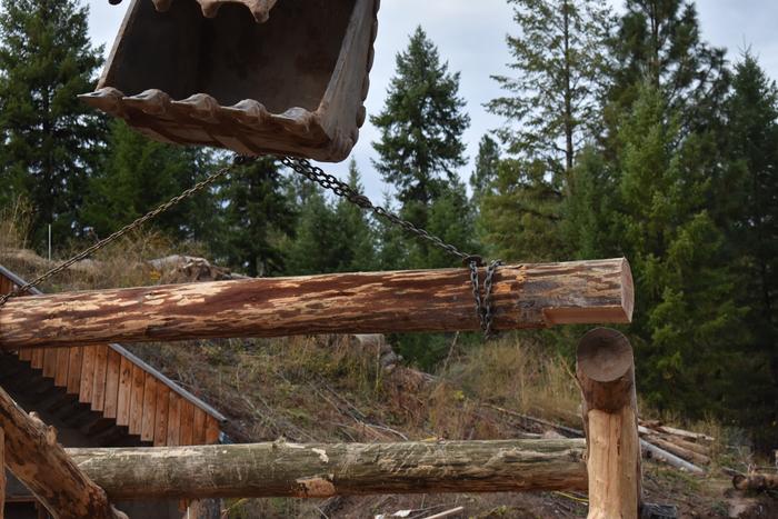 [Thumbnail for BRC_0954.JPG]