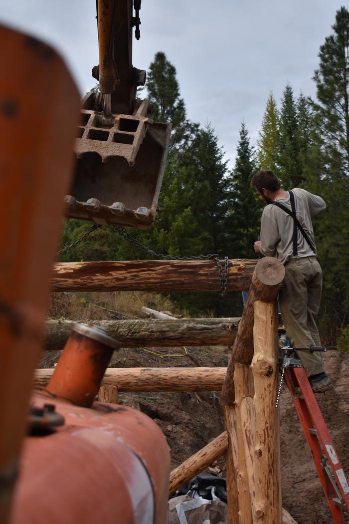 [Thumbnail for BRC_0962.JPG]