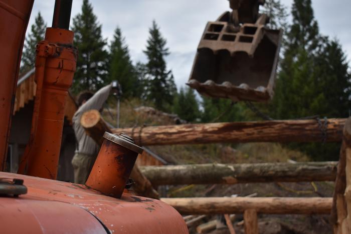 [Thumbnail for BRC_0964.JPG]