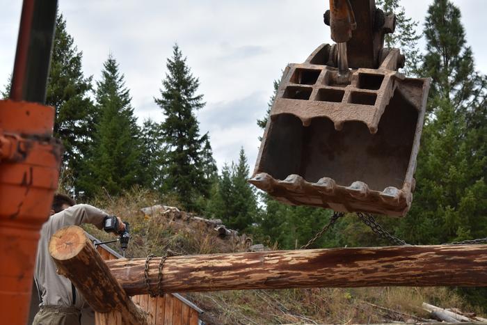 [Thumbnail for BRC_0967.JPG]