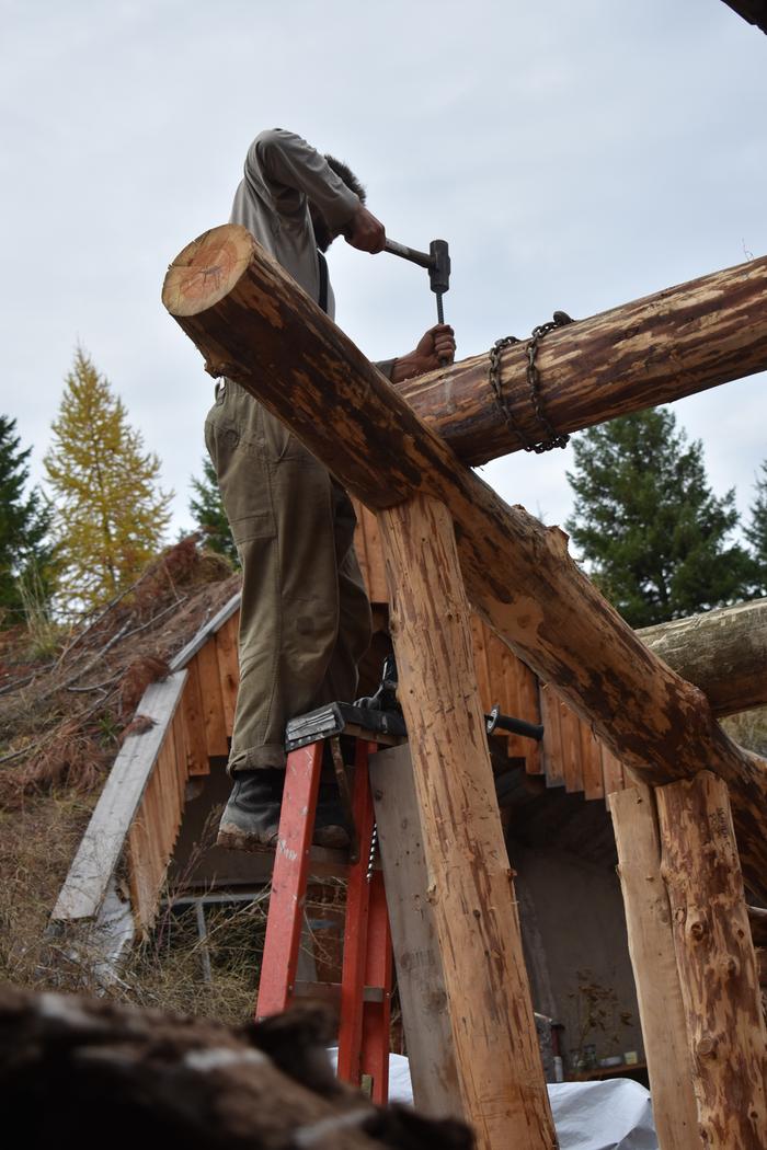 [Thumbnail for BRC_0968.JPG]