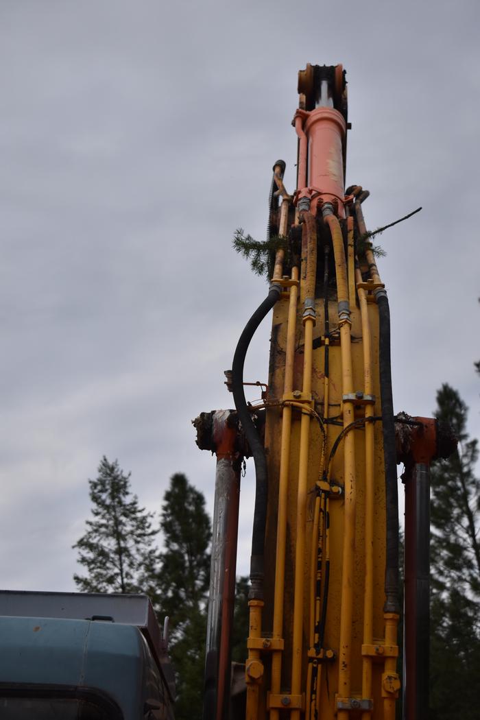 [Thumbnail for BRC_0978.JPG]