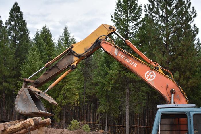 [Thumbnail for BRC_0985.JPG]