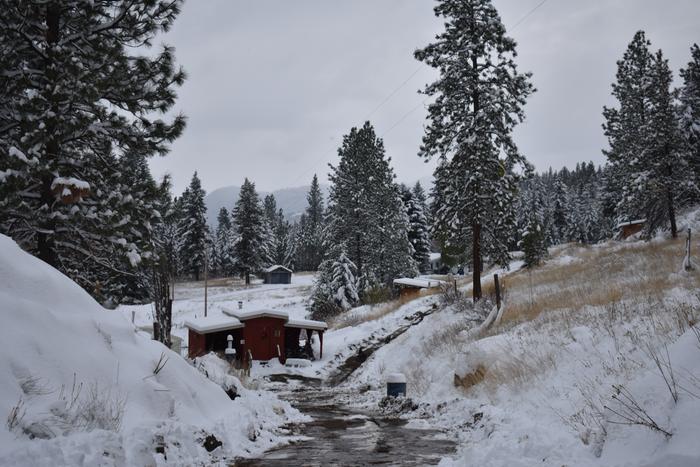 [Thumbnail for BRC_0118.JPG]