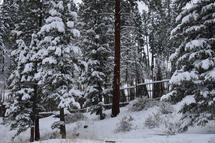 [Thumbnail for BRC_0119.JPG]