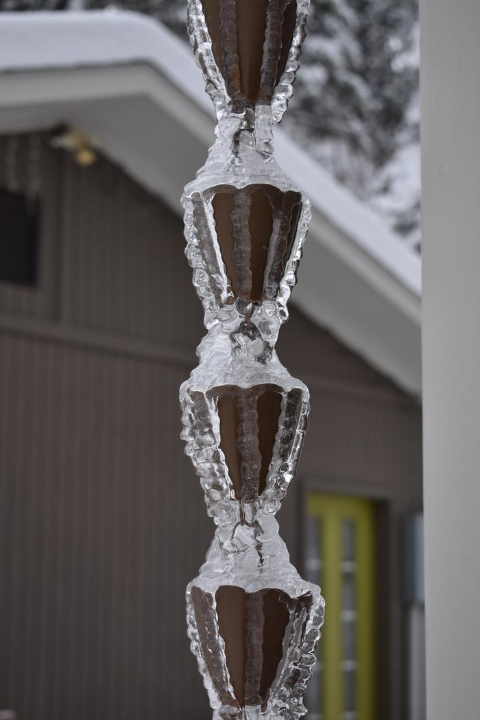 [Thumbnail for BRC_0120.JPG]