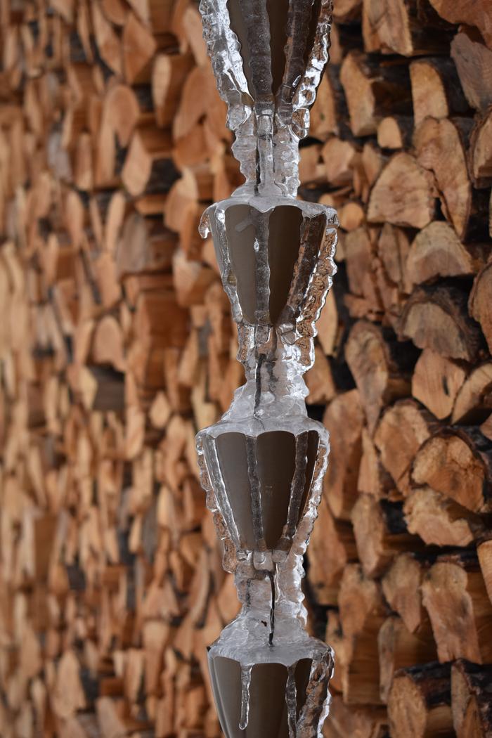 [Thumbnail for BRC_0123.JPG]