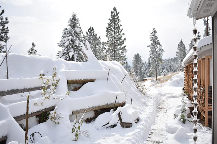 [Thumbnail for BRC_0044.JPG]