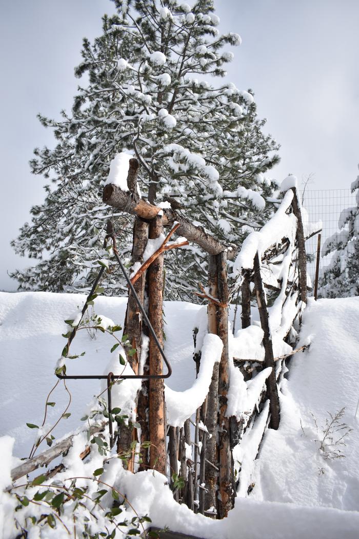 [Thumbnail for BRC_0045.JPG]