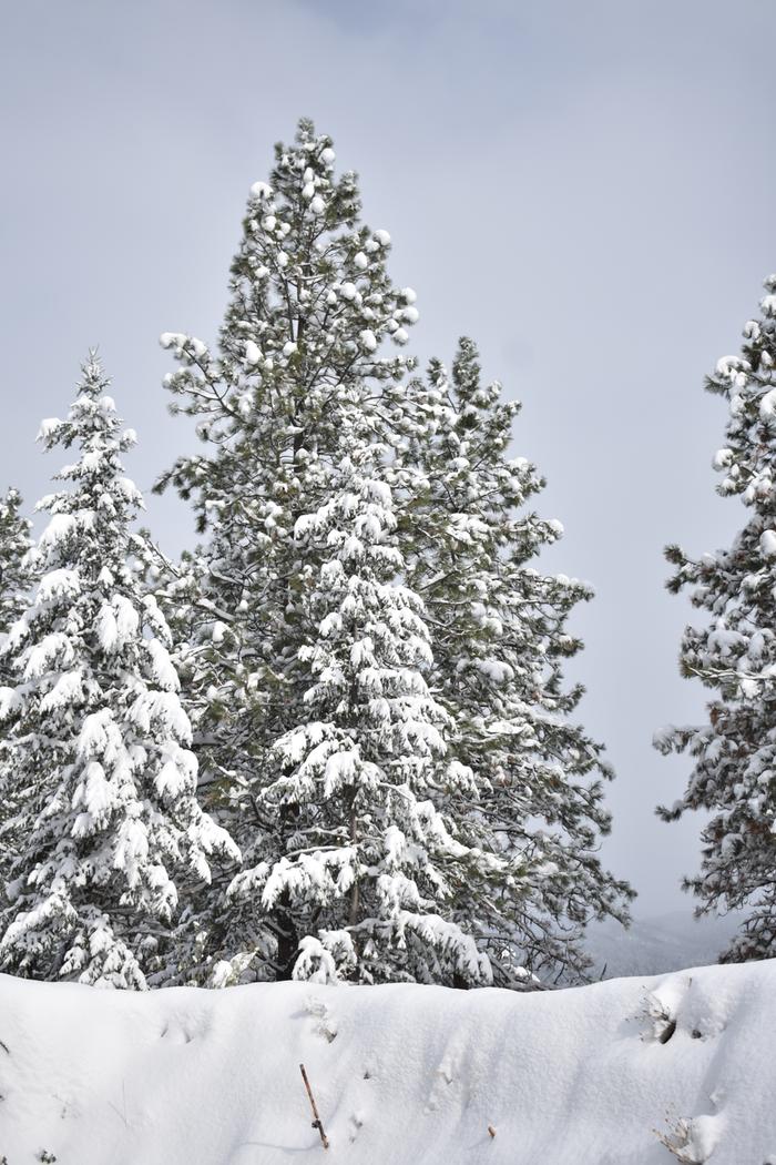 [Thumbnail for BRC_0047.JPG]