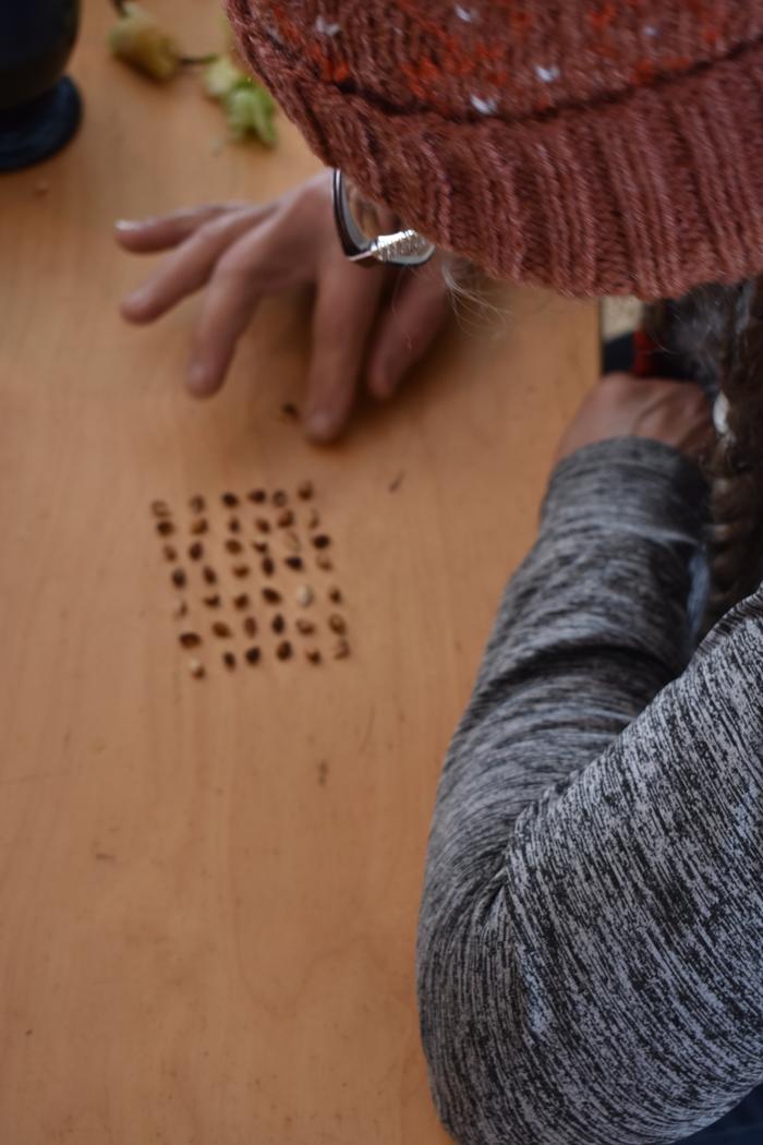 [Thumbnail for BRC_0048.JPG]