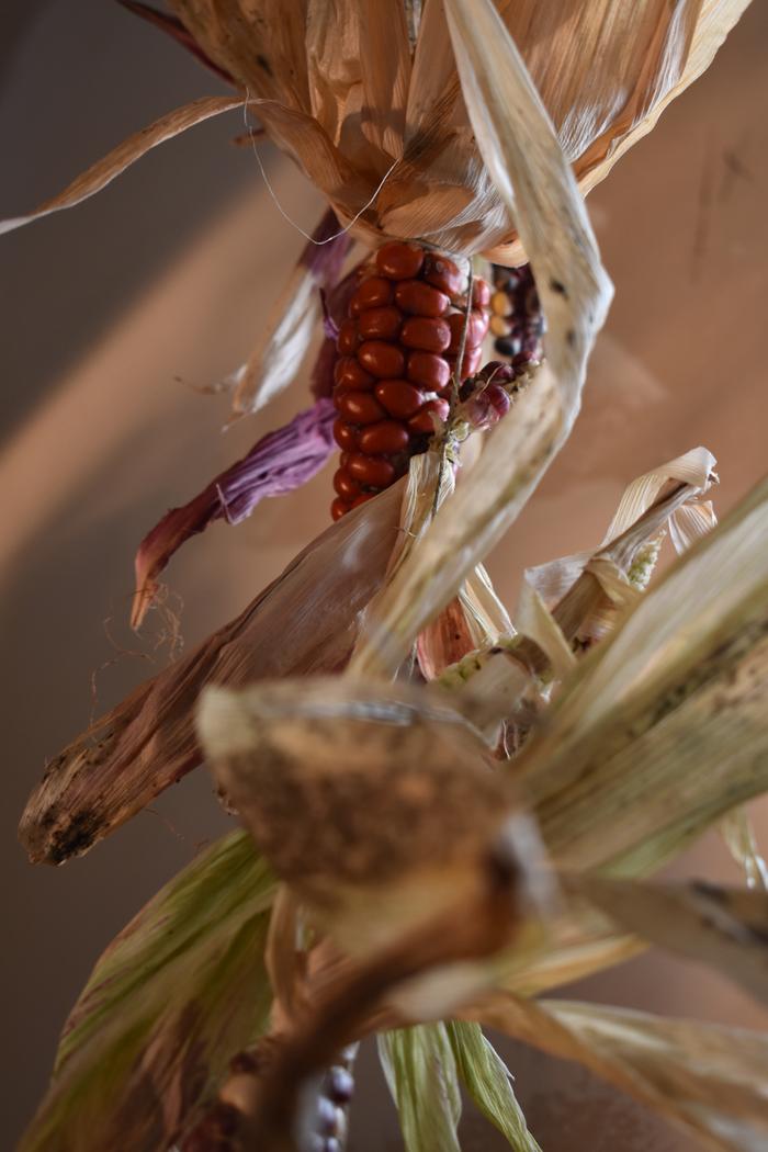 [Thumbnail for BRC_0109.JPG]