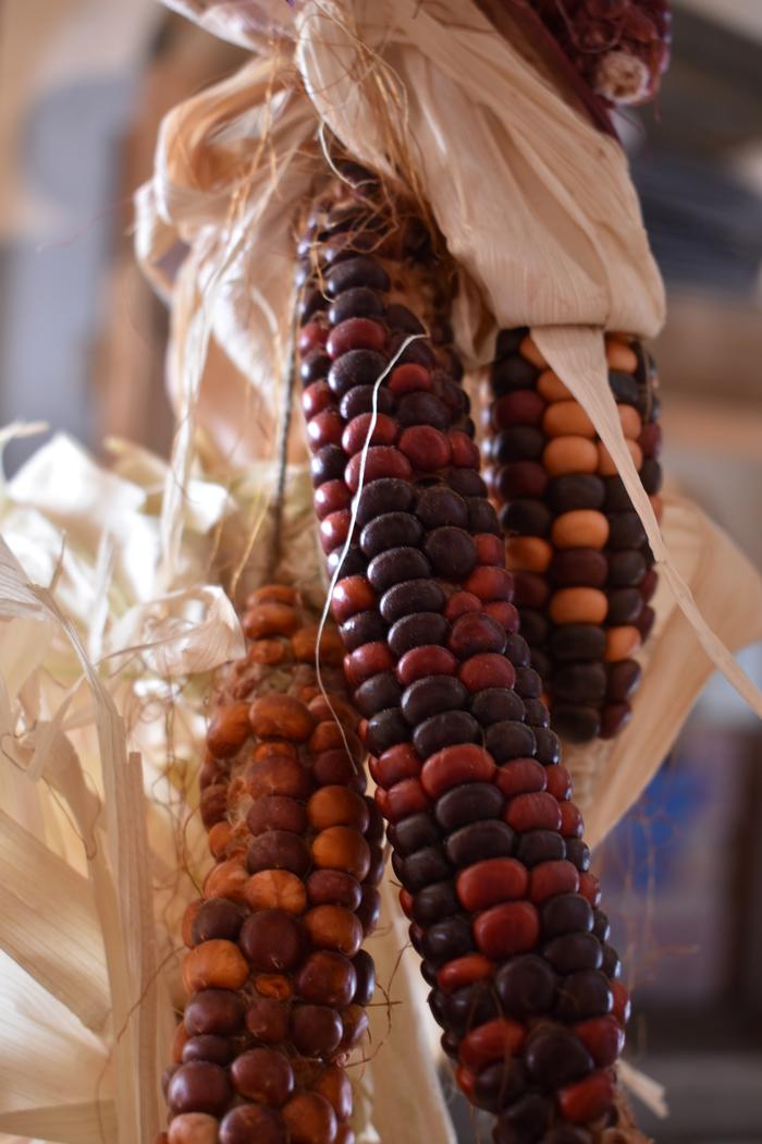 [Thumbnail for BRC_0114.JPG]