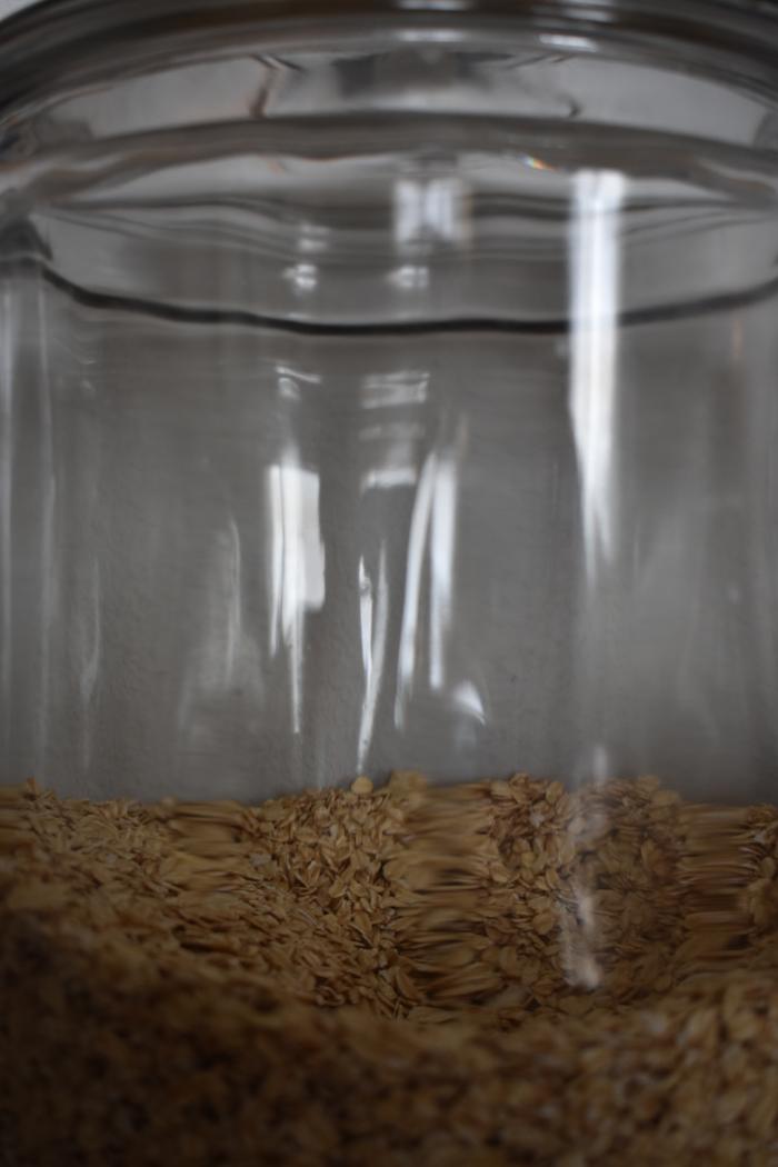 [Thumbnail for BRC_0068.JPG]