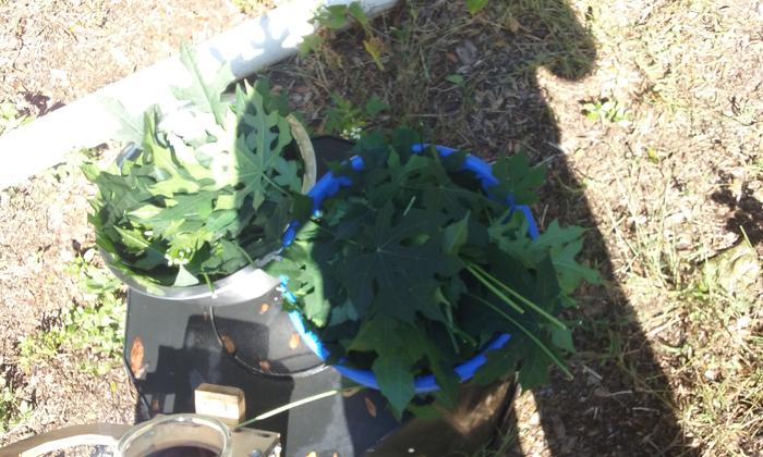 [Thumbnail for 20201102_103704.jpg]