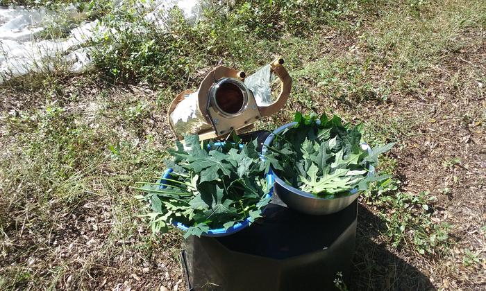 [Thumbnail for 20201102_103715.jpg]