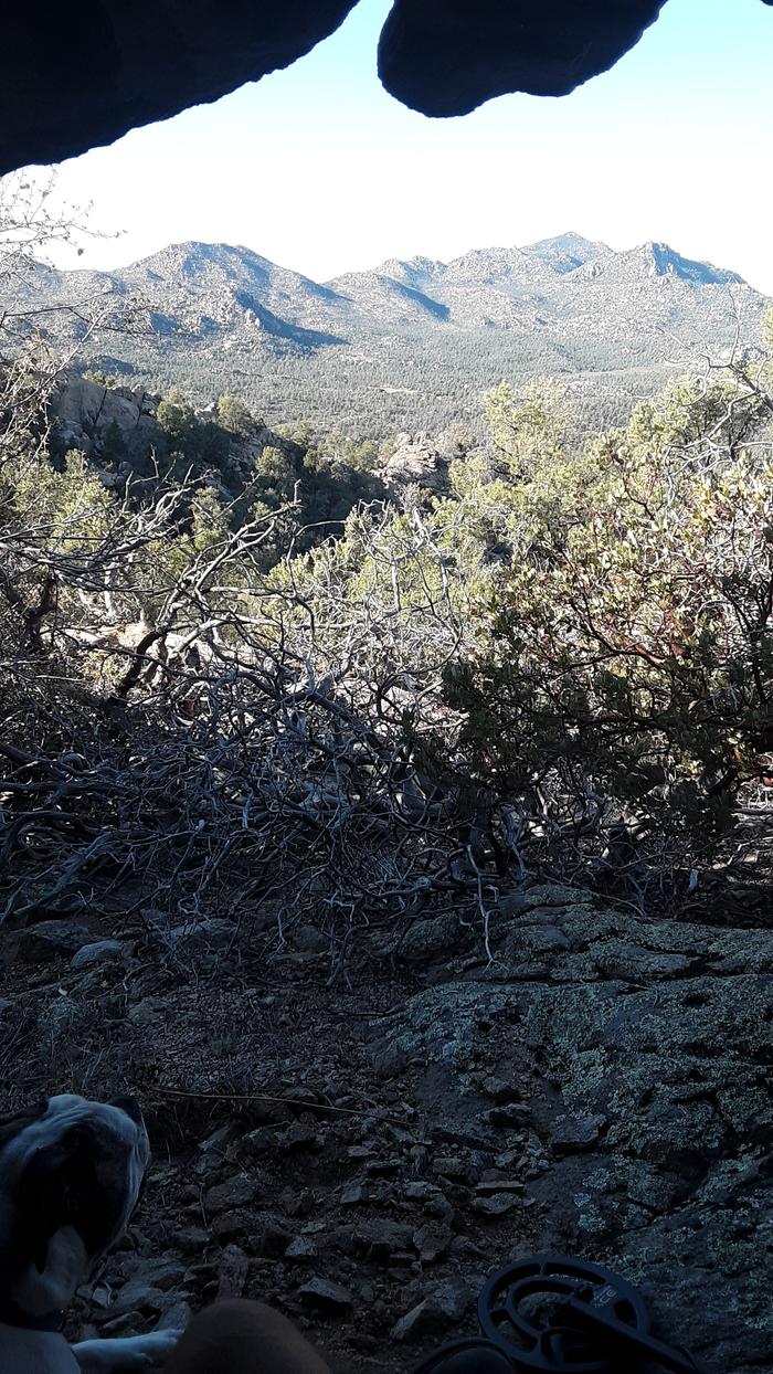 the land