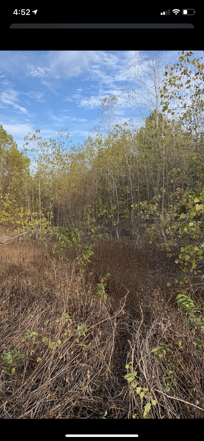 [Thumbnail for EC3105AD-1F40-48DA-90CD-28EBAE2F3B23.png]