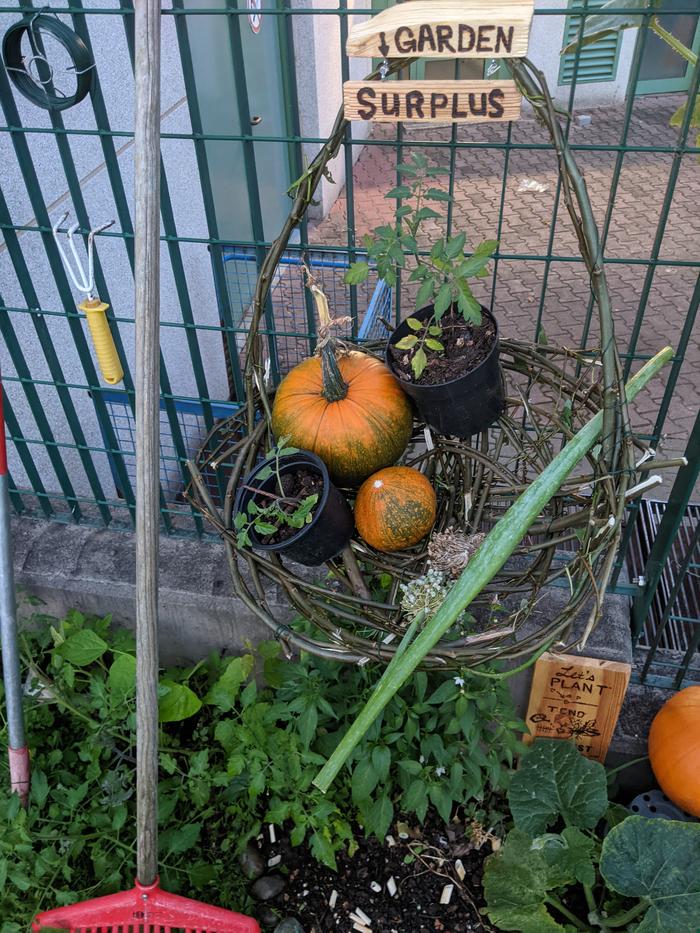 Later in the day, I went back to check on it and a the squash was gone! Full circle: returning the surplus.