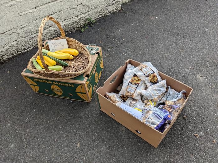 Some potatoes have been collected too!