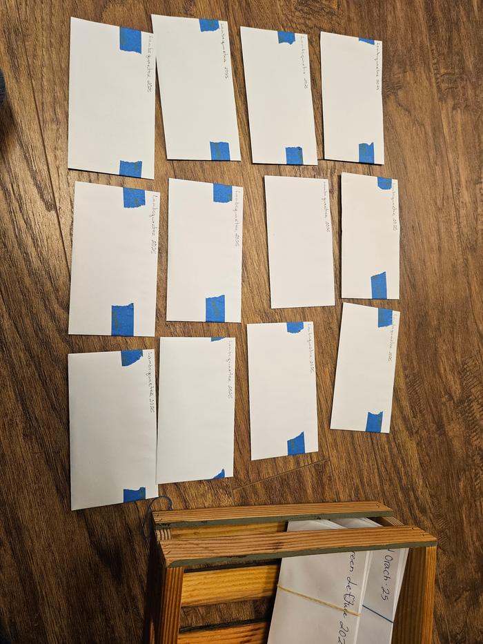 Lambs quarters packets