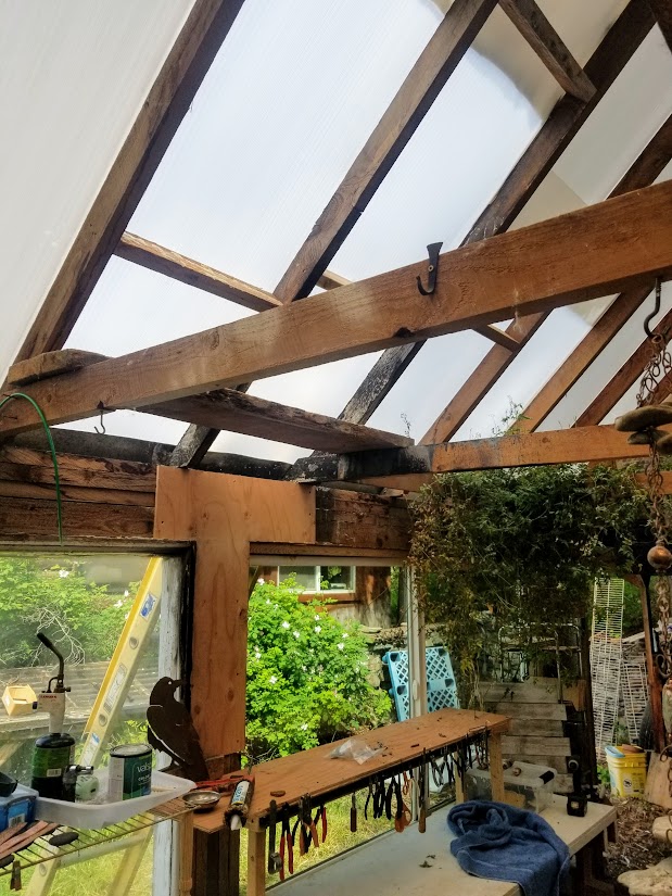 [Thumbnail for 20200610_115009.jpg]