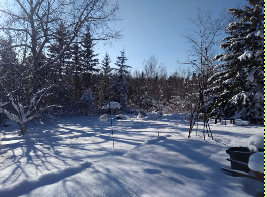 what is this freaky white stuff?