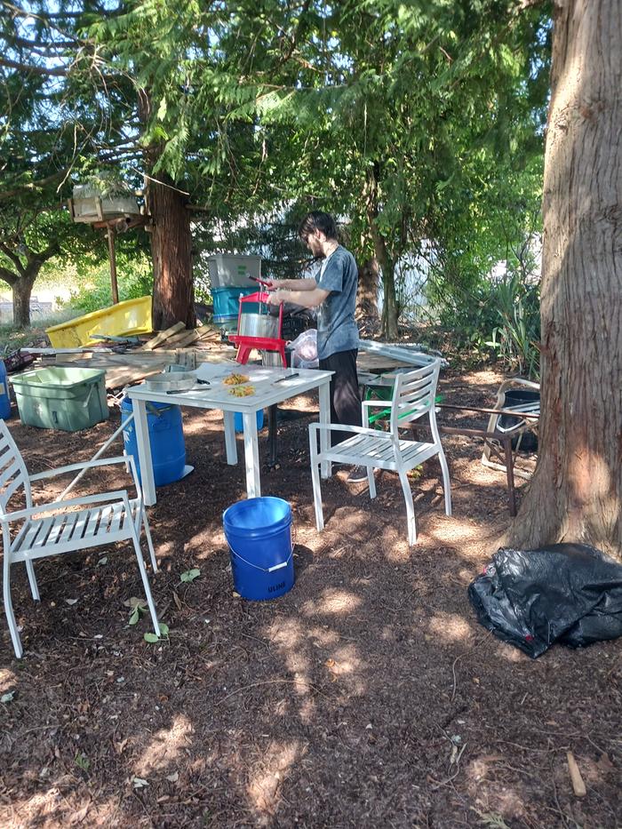 Carlin at the press. Jim hauled and sorted apples. Cat and I were hard pressed to keep up with washing and cutting.