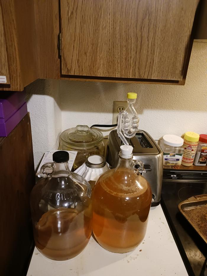 2 gal of ACV, 1qt of apple kefir, 1gal of fire cider way in the back. (Also 1qt of sourdough starter)