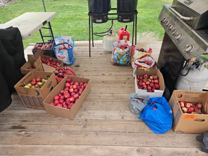 Way more apples than needed. 