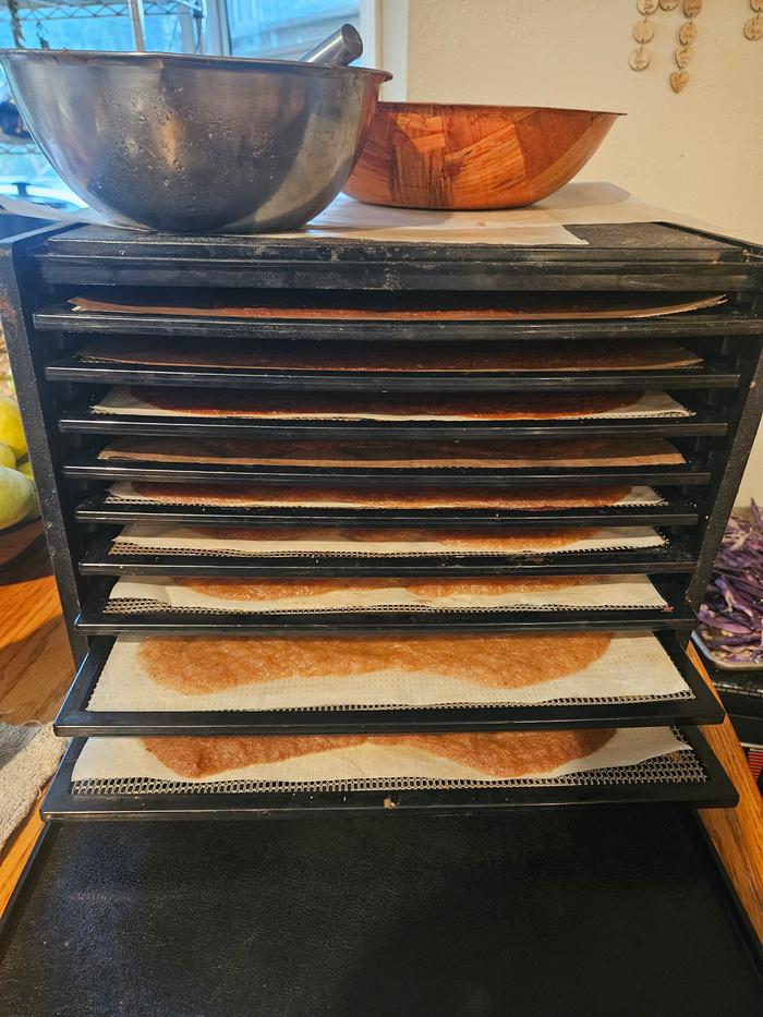 9 quarts of sauce in the dehydrator