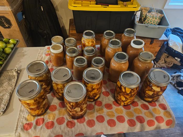 Jar and jars!