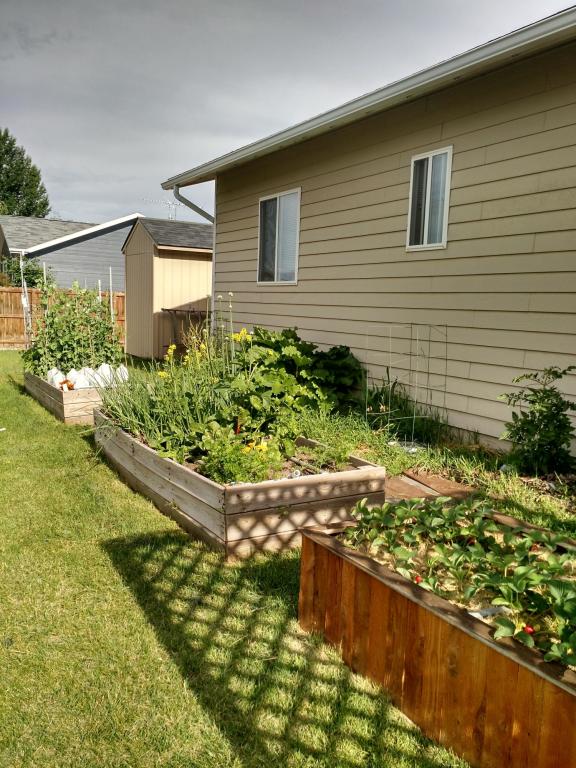 Red raised bed out of pallets