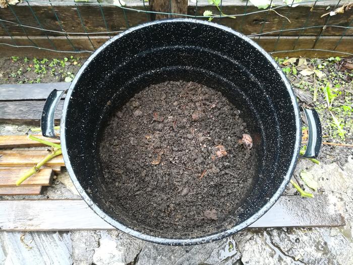 3/4in layer of soil at bottom